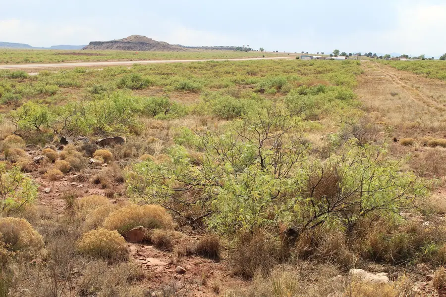 Lots 25-26 Nickel Lane, Conchas Dam, NM 88416 - #2