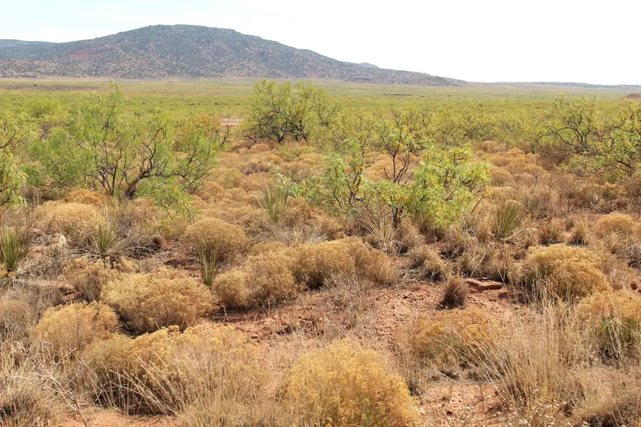 Lots 25-26 Nickel Lane, Conchas Dam, NM 88416 - #3