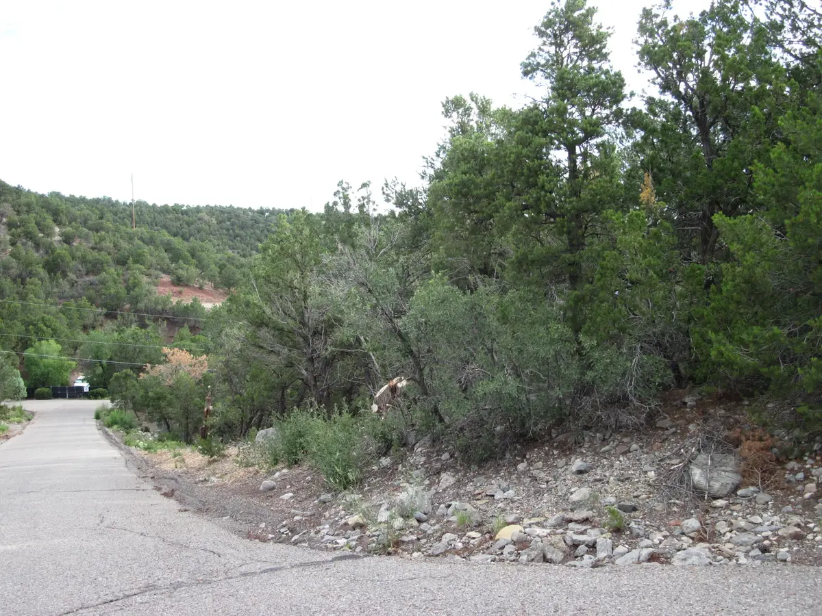 0 Beaver Lane, Cedar Crest, NM 87008 - #1