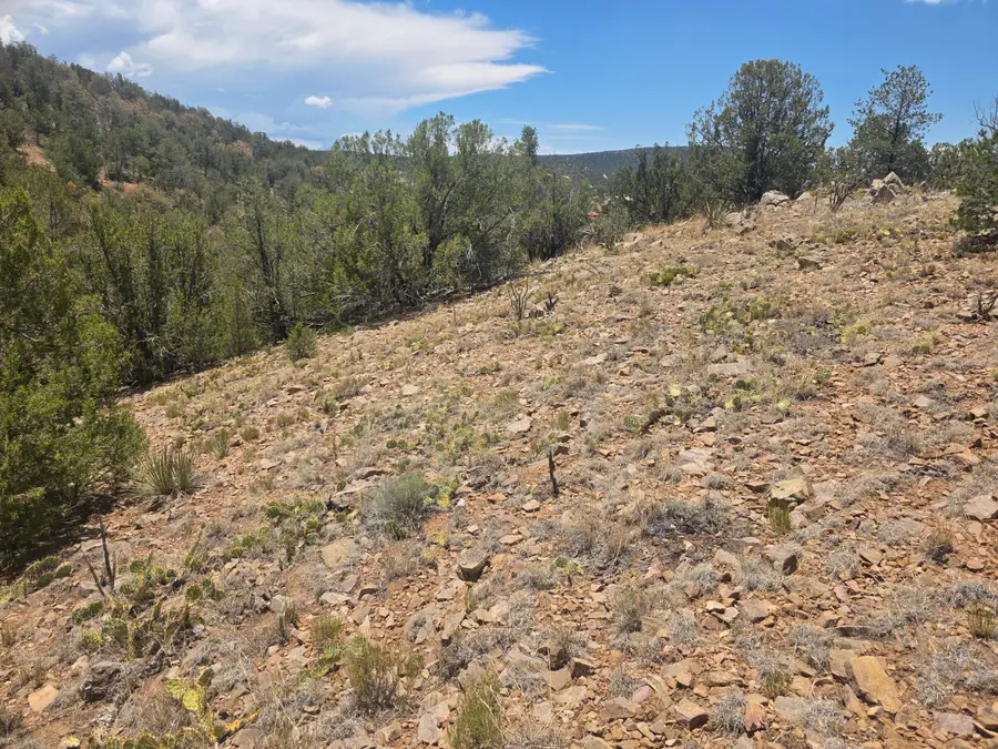 2 Lakeview Drive, Sandia Park, NM 87047 - #3