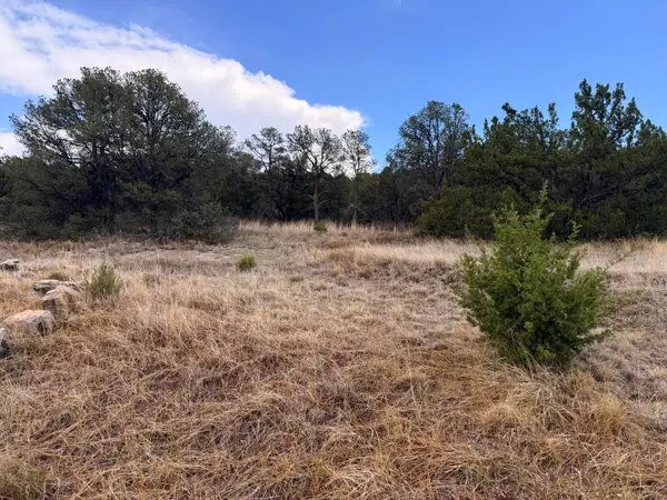 Lot 8 Horseshoe Bend Road, Edgewood, NM 87015