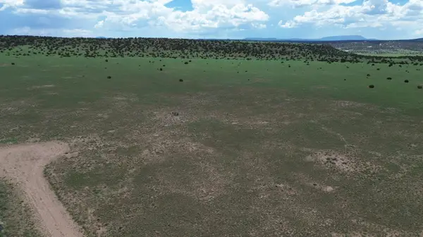 LOT 169 Deer Circle, Quemado, NM 87829