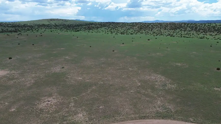 LOT 169 Deer Circle, Quemado, NM 87829 - #2