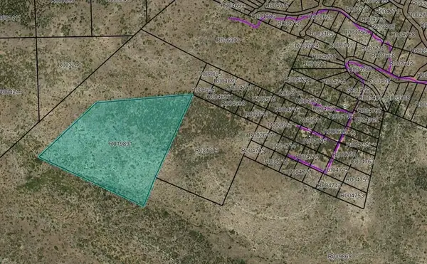 Canon Del Pino Road, Estancia, NM 87016