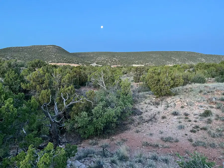 101 Wild Primrose Road, Placitas, NM 87043 - #3