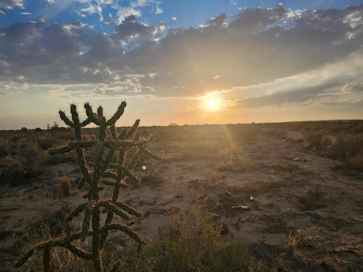 1206 Goya Road Sw, Rio Rancho, NM 87124 - #1