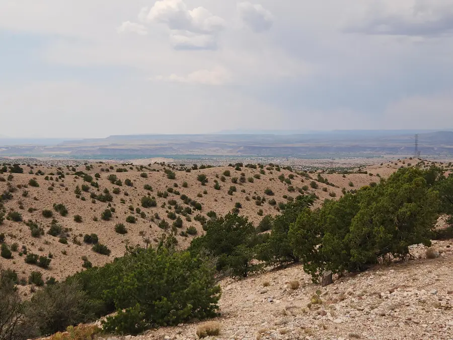 Flying Dog Rd, Placitas, NM 87043 - #2