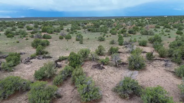 LOT 36 Arrow Ln, Quemado, NM 87829