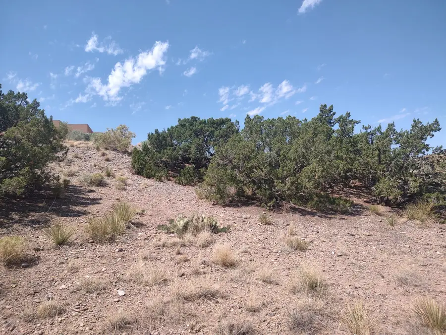 Santa Ana Loop, Placitas, NM 87043 - #3