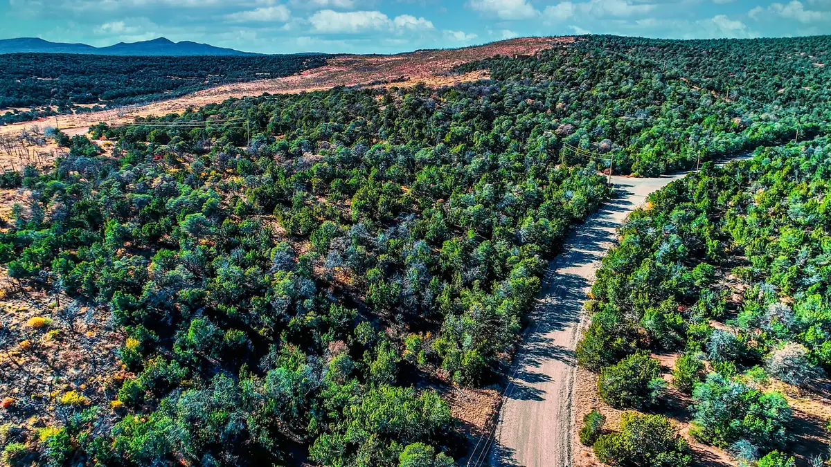 Twin Peaks Dr Drive, Estancia, NM 87016 - #1