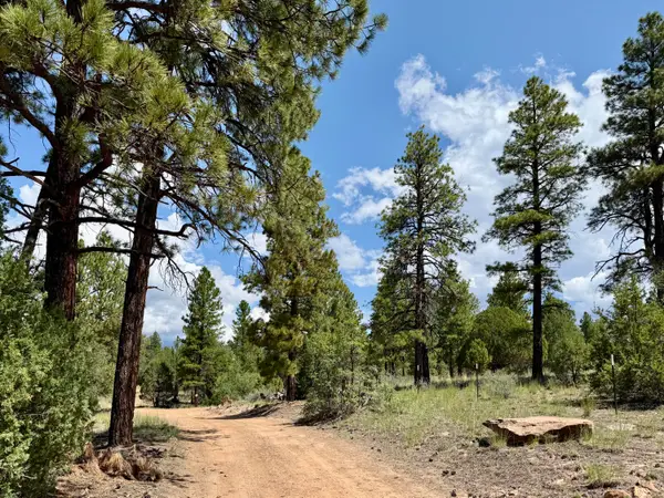 3 Leaning Pine Lane, Ramah, NM 87321