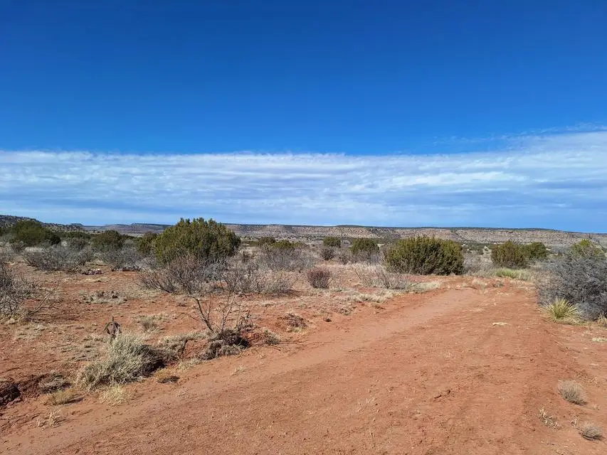 E Magnolia Road, Garita, NM 88421 - #1