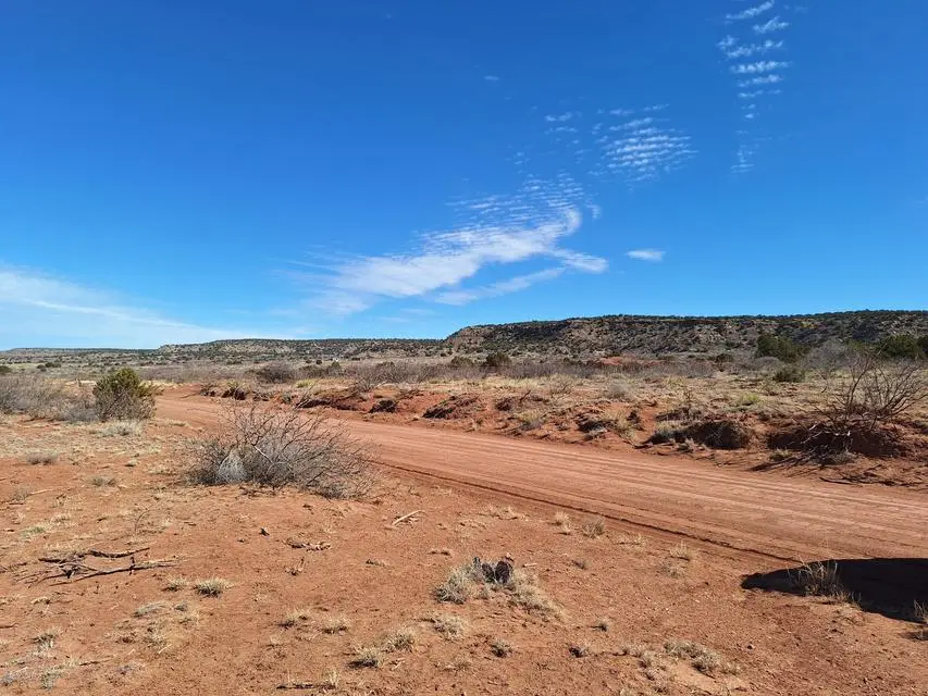 E Magnolia Road, Garita, NM 88421 - #3