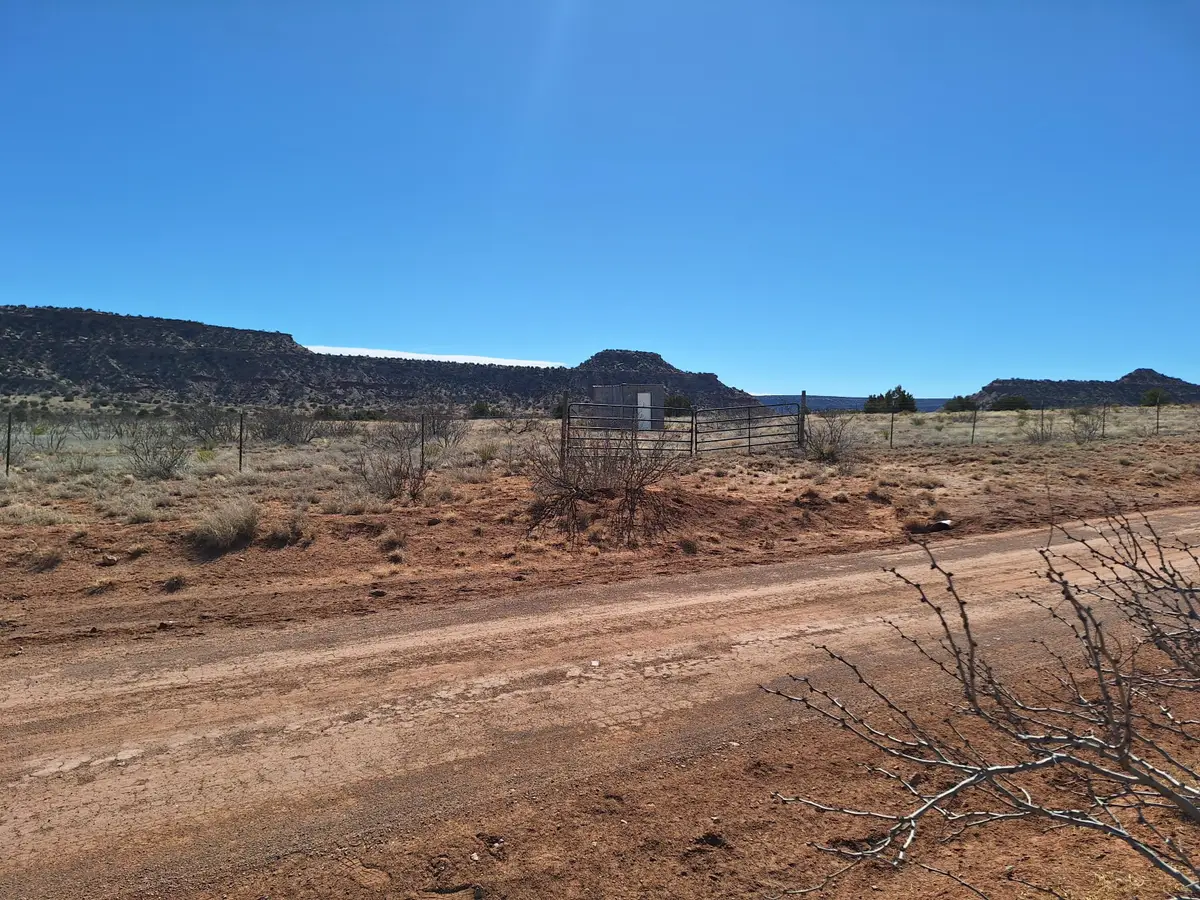 Magnolia Road, Garita, NM 88421 - #1