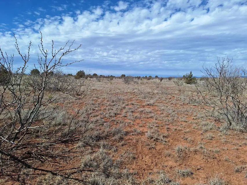 Magnolia Road, Garita, NM 88421 - #3