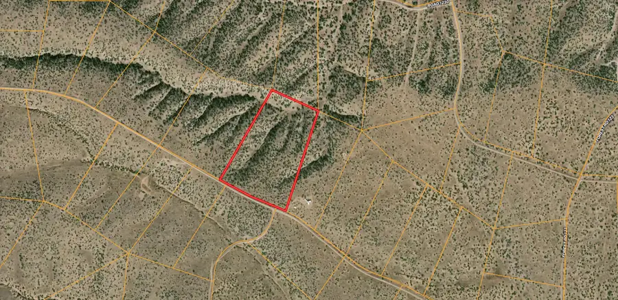 Lot 193 Campfire Road, Magdalena, NM 87825 - #3