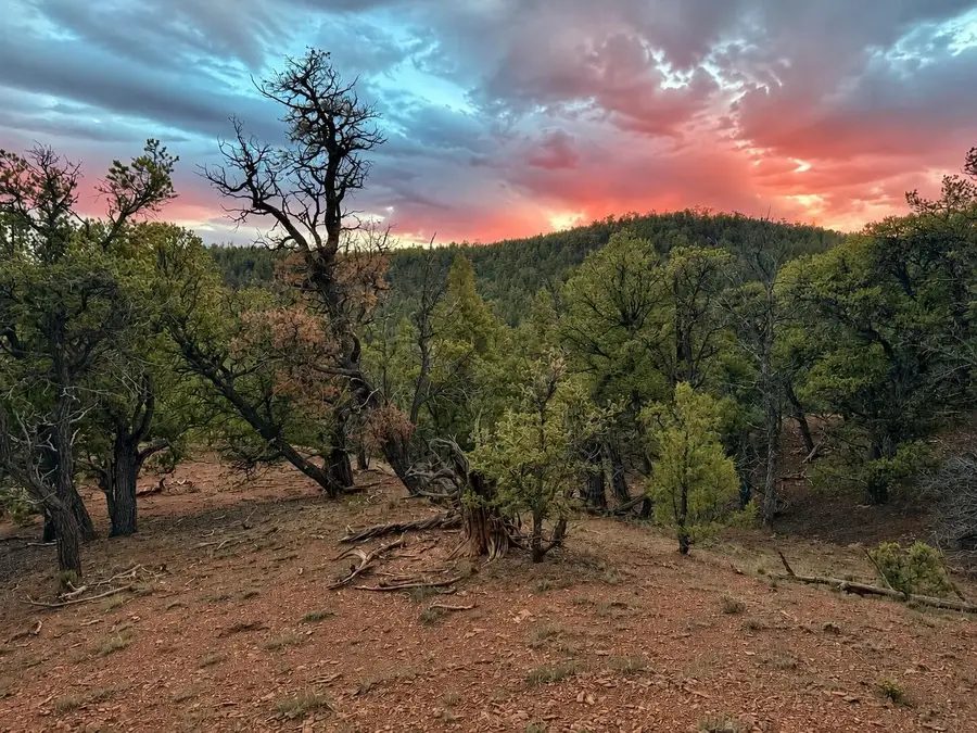 S11 21.205(ac) Venado Crest Road, Ramah, NM 87321 - #2