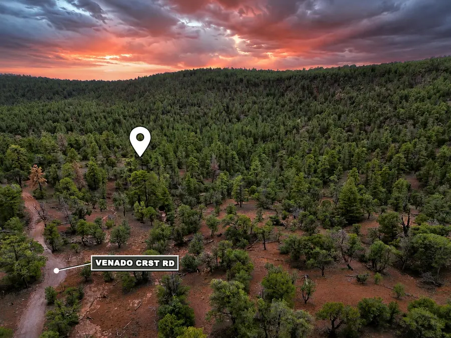 S11 21.205(ac) Venado Crest Road, Ramah, NM 87321 - #3