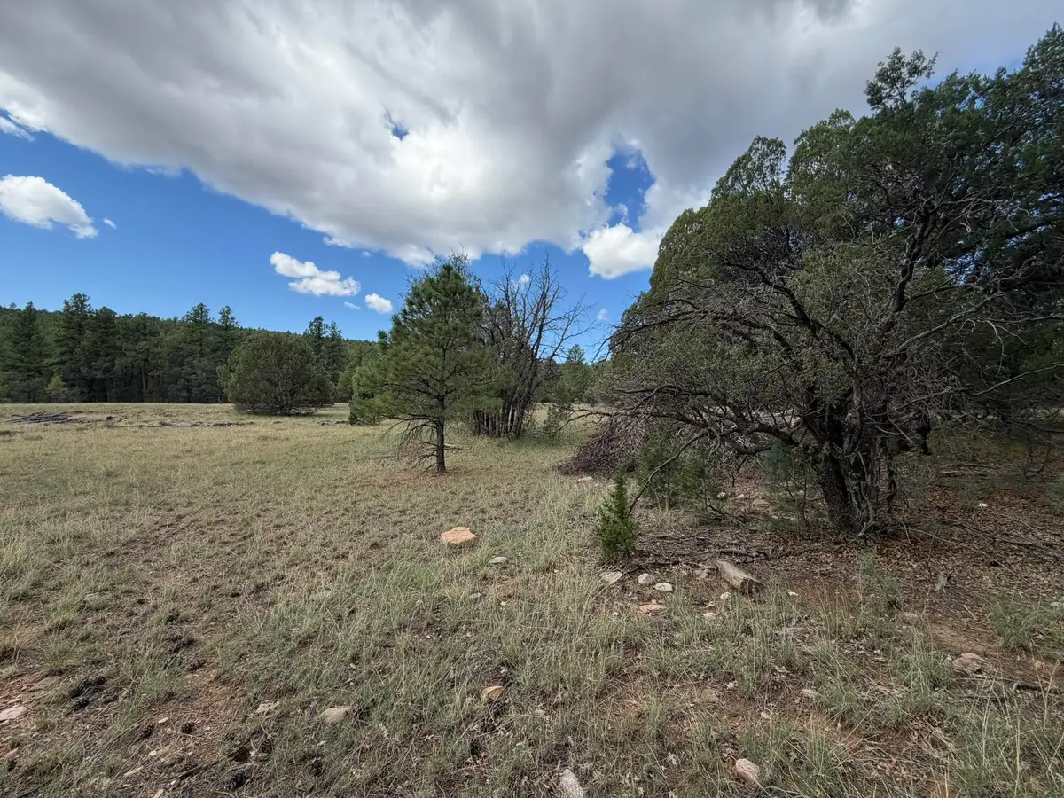 20 Katy Lane, Mountainair, NM 87036 - #1