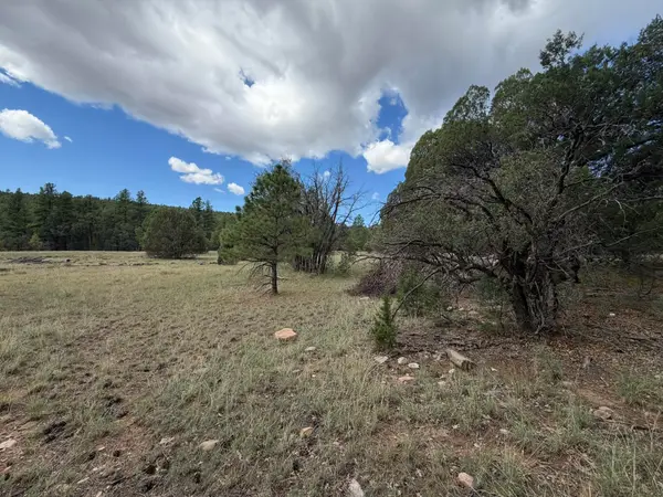 20 Katy Lane, Mountainair, NM 87036