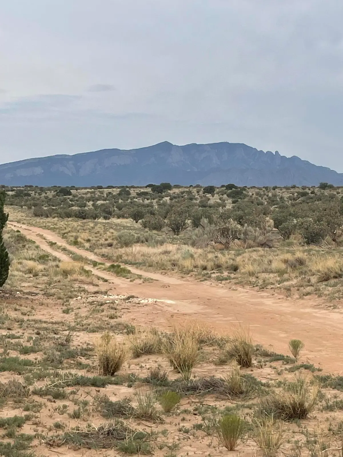 4617 Rye Road Ne, Rio Rancho, NM 87144 - #1