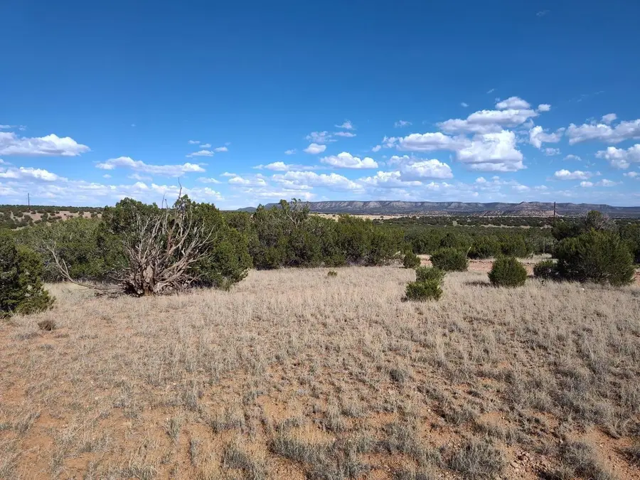 Old Abo Trail, Mountainair, NM 87036 - #2