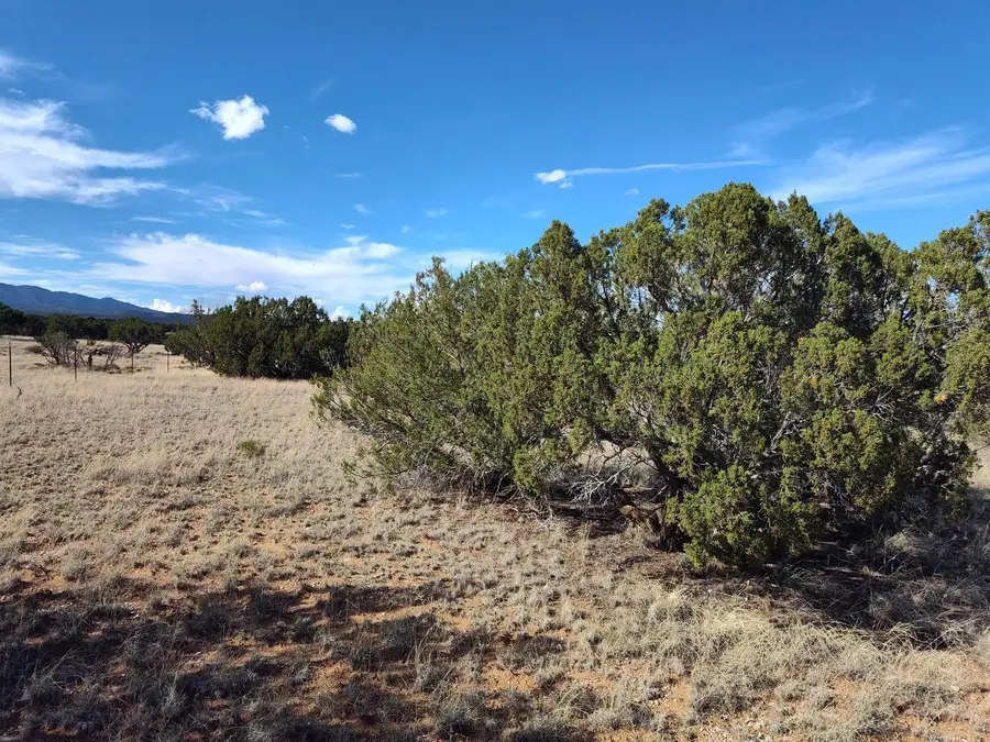 Old Abo Trail, Mountainair, NM 87036 - #3
