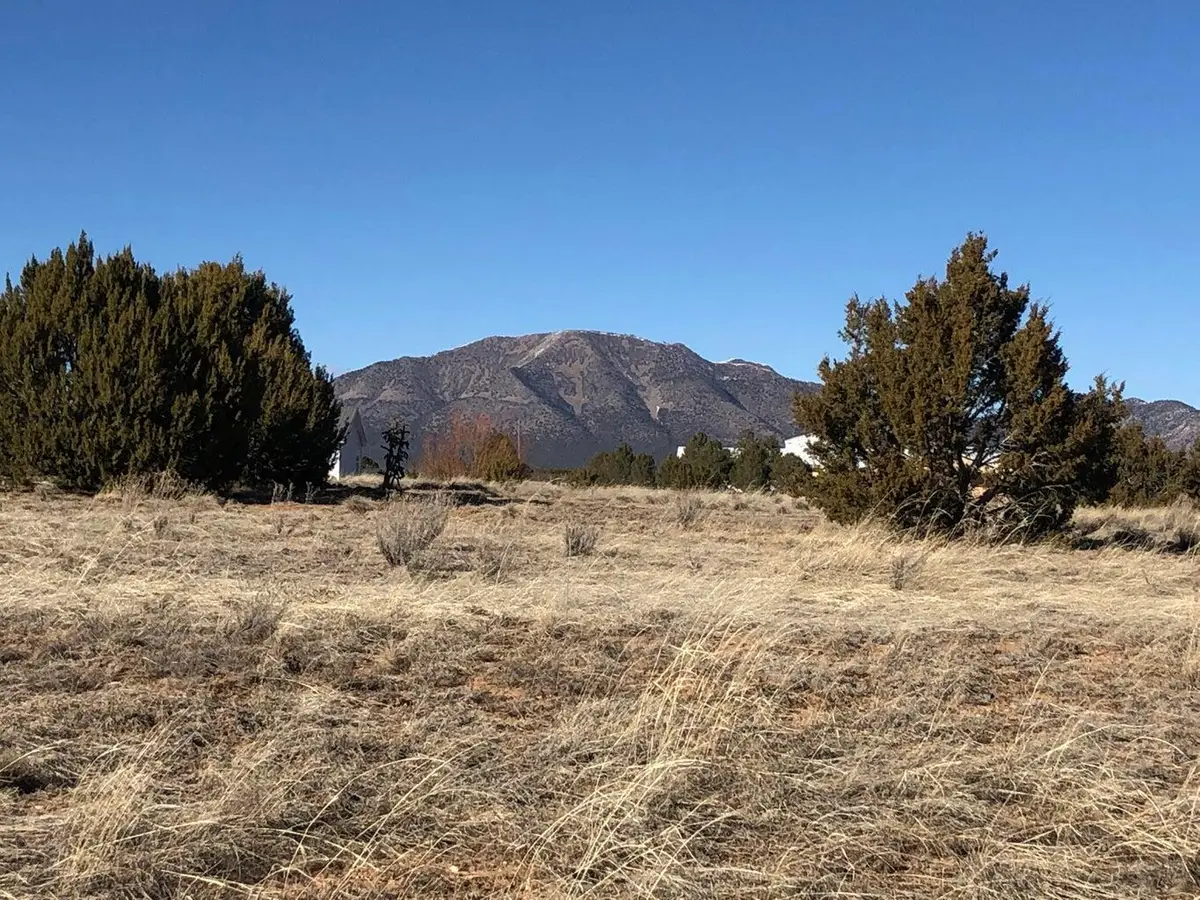23 Joe Mae Road, Edgewood, NM 87015 - #1