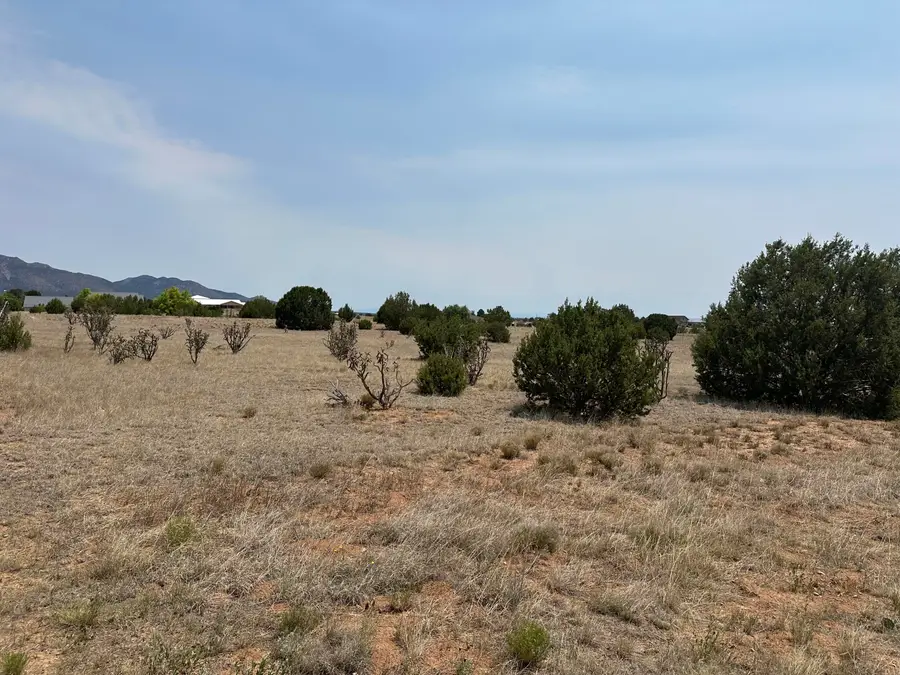 23 Joe Mae Road, Edgewood, NM 87015 - #3