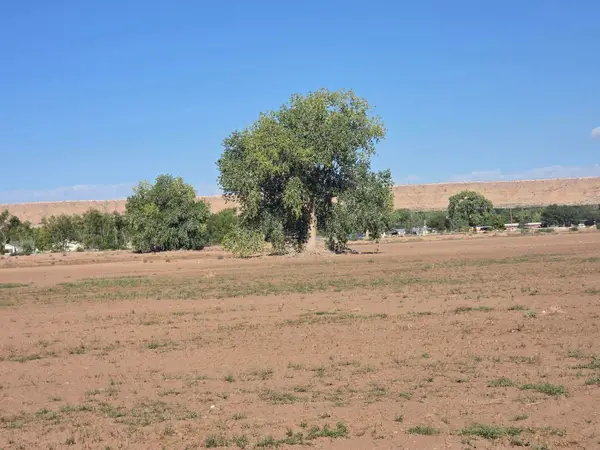 VL Land Of Atalio Chavez Tract: A #E-5-18, Bosque, NM 87006