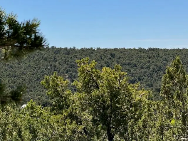 30 Rancho Verde Road, Tijeras, NM 87059 - #2