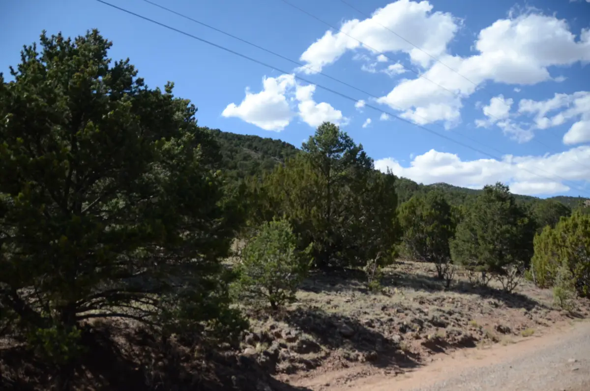 84 N Mountain Road, Edgewood, NM 87015 - #1