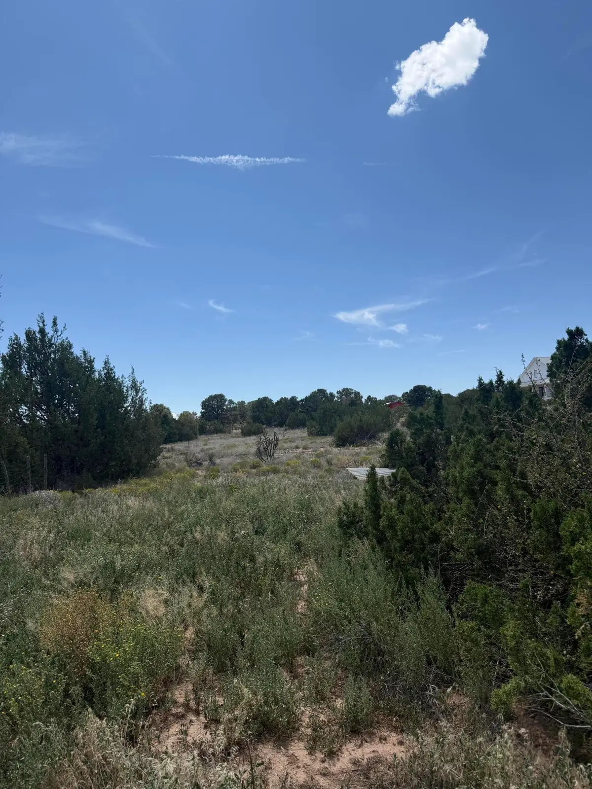 18 Entranosa Lane, Edgewood, NM 87015 - #1