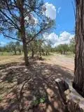 3 Deer Run Trail, Pie Town, NM 87827 - #1