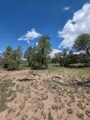3 Deer Run Trail, Pie Town, NM 87827 - #3