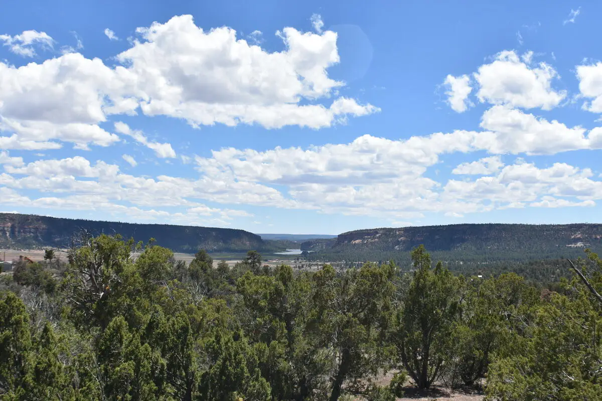 Lot 20 Sunflower Drive, Ramah, NM 87321 - #1