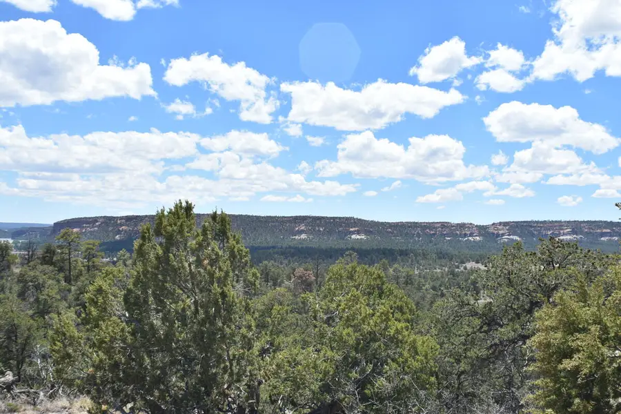 Lot 20 Sunflower Drive, Ramah, NM 87321 - #2