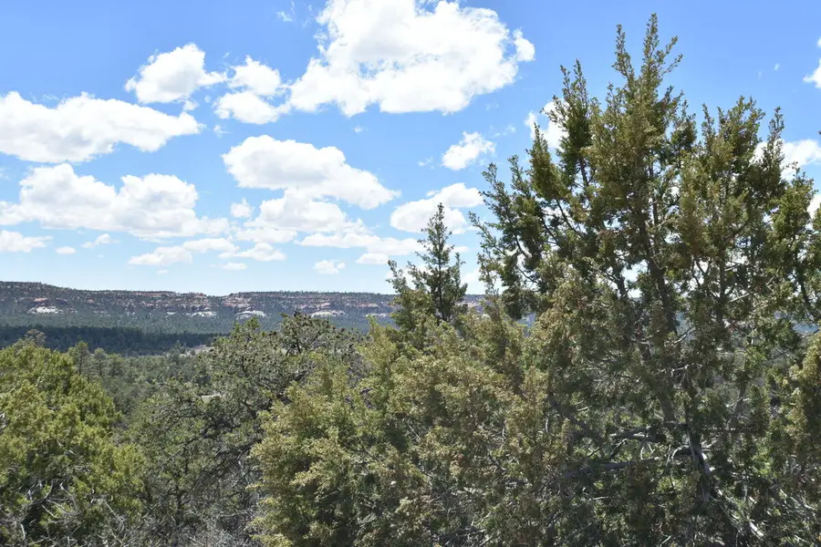 Lot 20 Sunflower Drive, Ramah, NM 87321 - #3