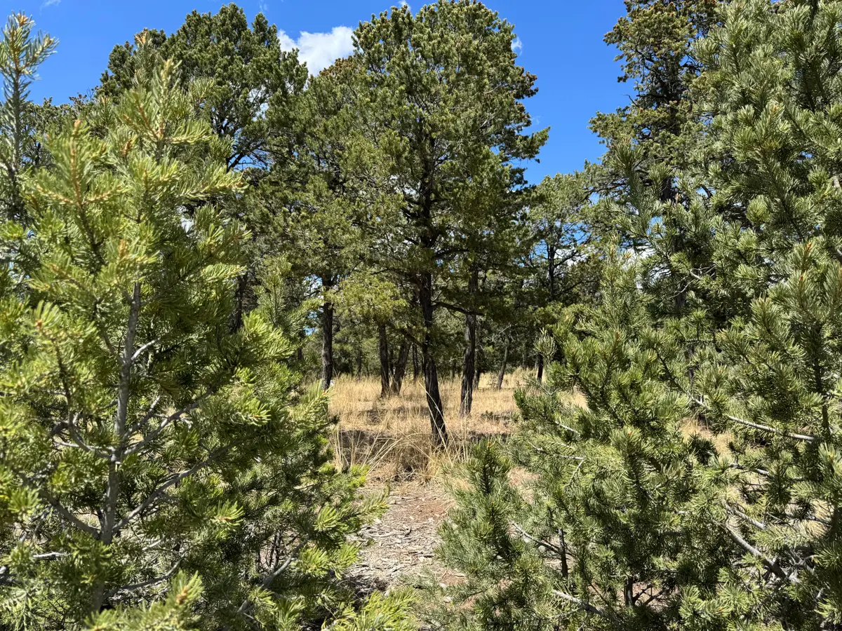 17 Wild Wings Circle, Pecos, NM 87552 - #1
