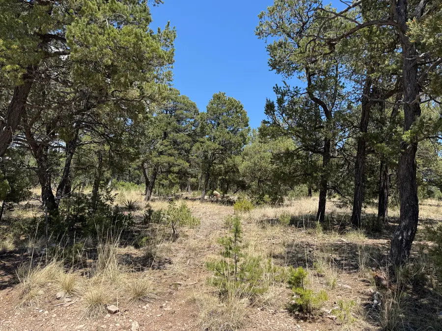 17 Wild Wings Circle, Pecos, NM 87552 - #2