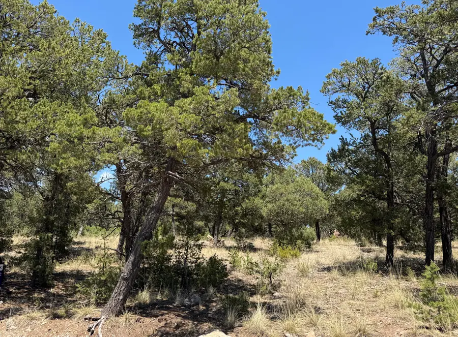 17 Wild Wings Circle, Pecos, NM 87552 - #3