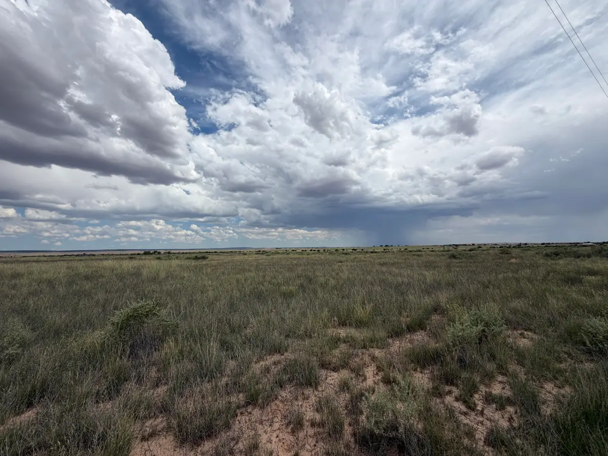 Lot 48 Pegasus, Moriarty, NM 87035 - #1