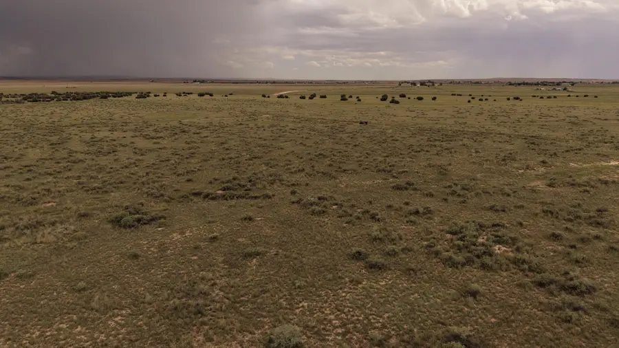 Lot 48 Pegasus, Moriarty, NM 87035 - #2