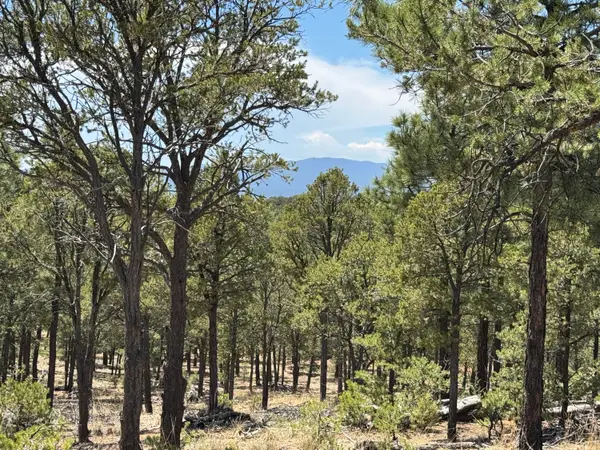 Lot 20 Dancing Hawk Drive, Pecos, NM 87552
