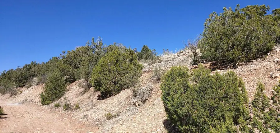 Kelly Lynn Drive, Sandia Park, NM 87047 - #3