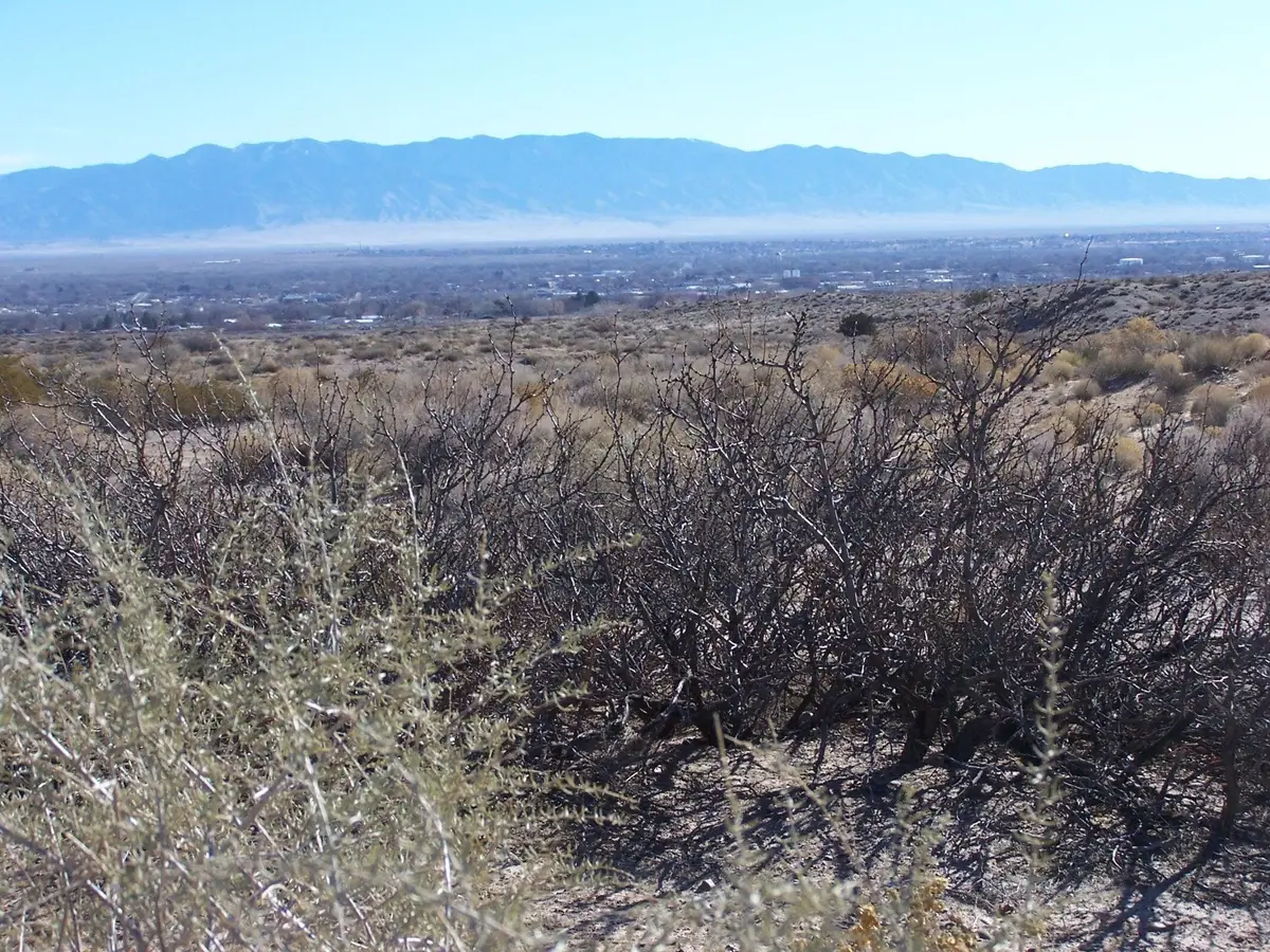 00 Erica Lane, Belen, NM 87002 - #1
