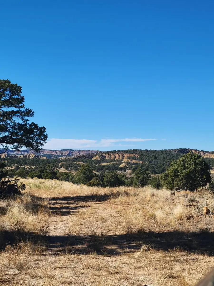 San Jose Trail, Regina, NM 87046 - #2