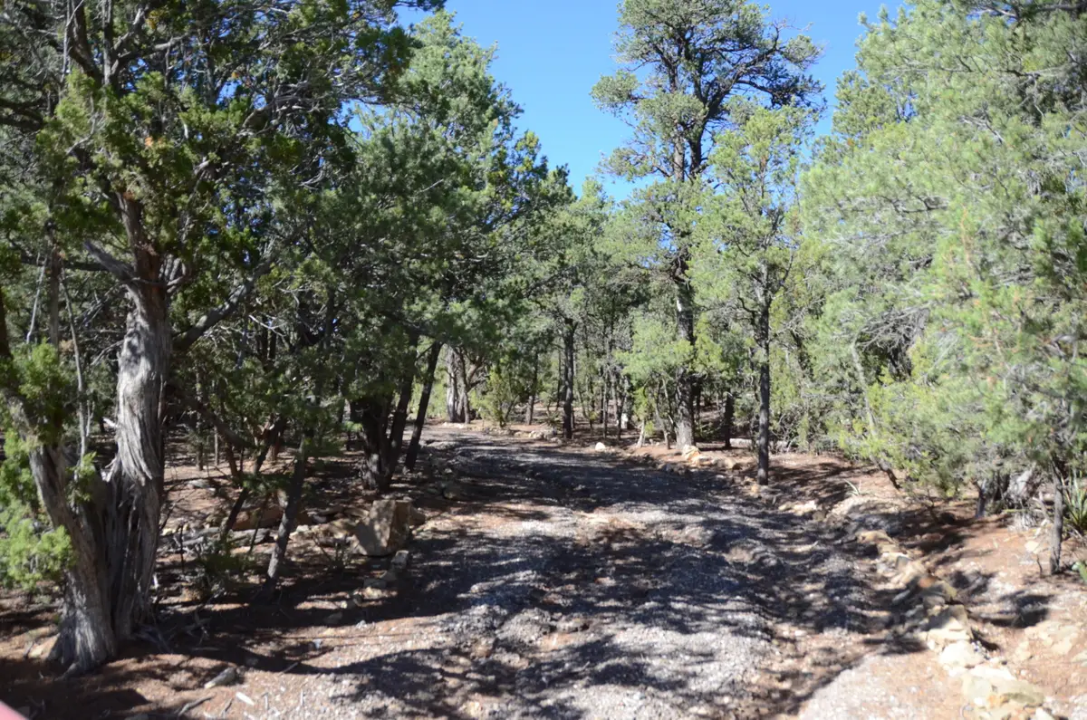 109 Via Sedillo Road, Tijeras, NM 87059 - #1