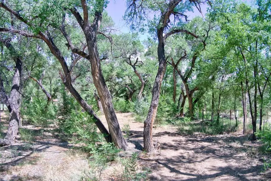 Bosque Oculto Lot B1-c, Corrales, NM 87048 - #3