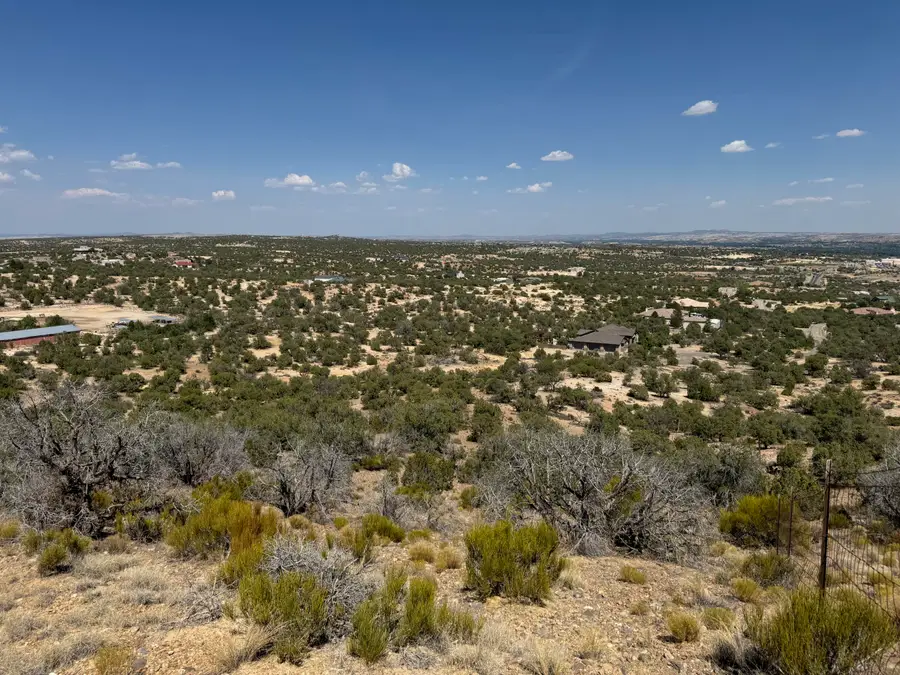 Lions Trail, Farmington, NM 87401 - #3